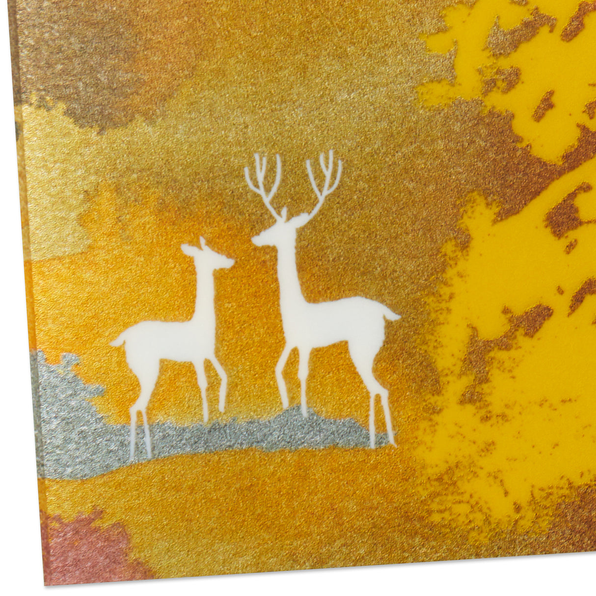 Hallmark Birthday Card for Husband or Boyfriend (Deer)