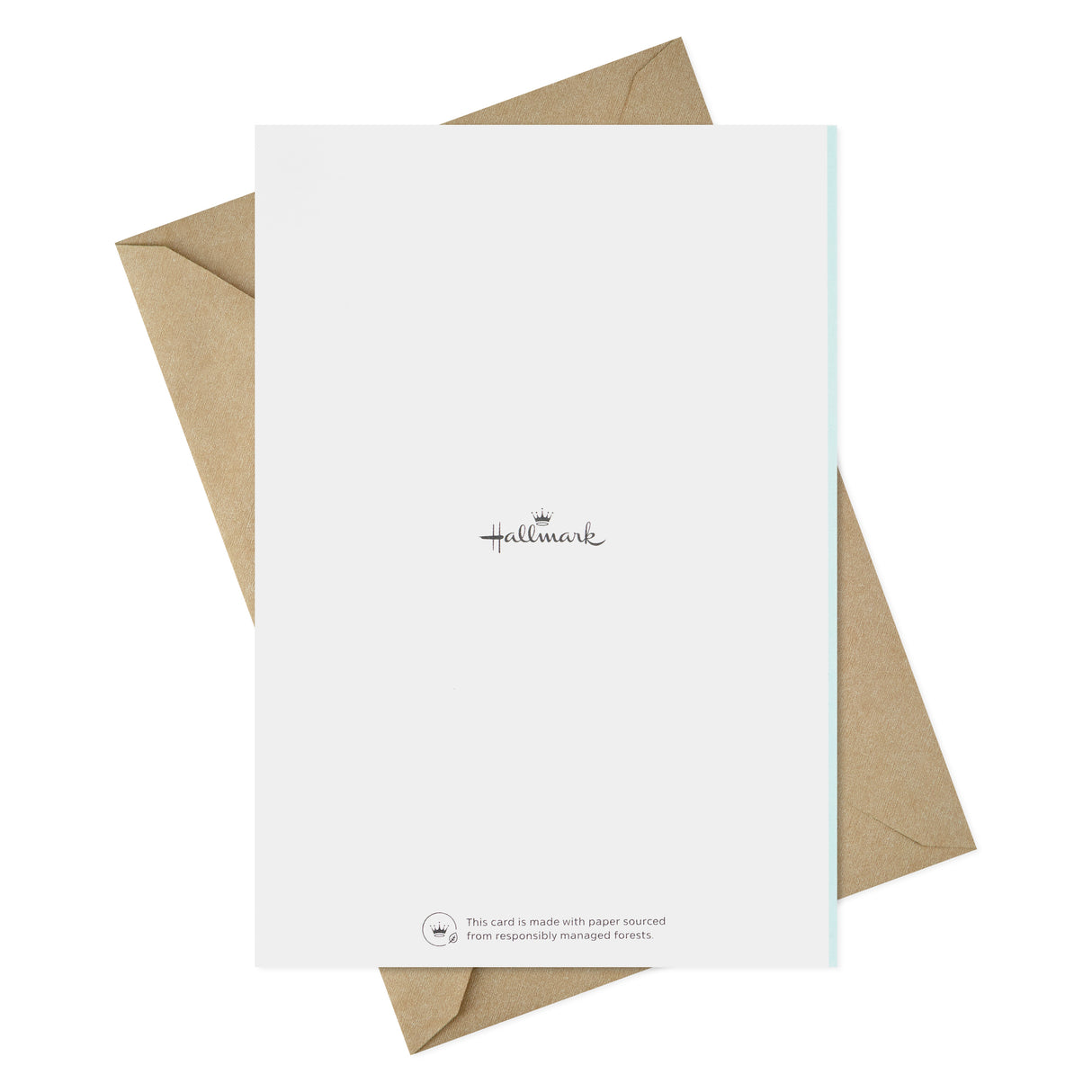 Pet Sympathy Cards Assortment, Hearts and Rainbows (16 Cards and Envelopes)