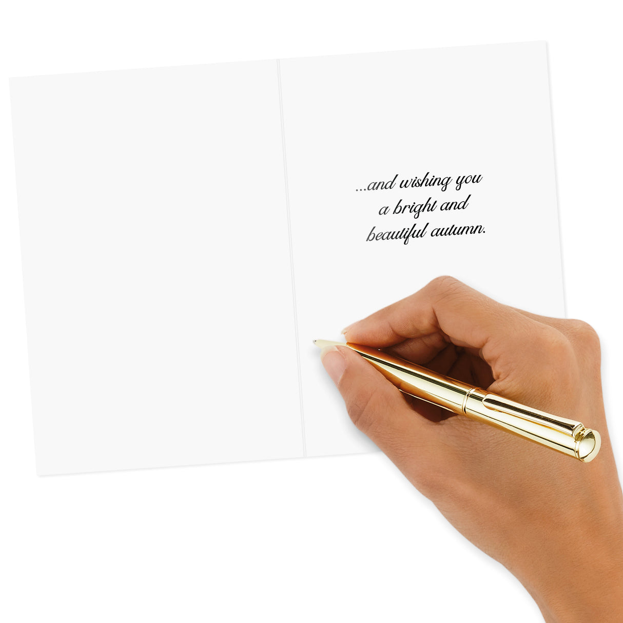 Hallmark Fall Thinking of You Cards (8 Cards with Envelopes) Pumpkins and Leaves