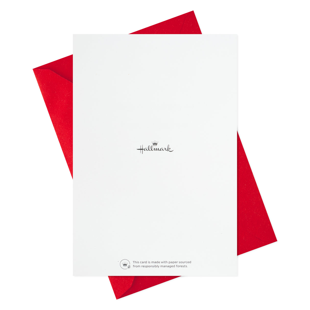 Birthday Cards Assortment, 16 Cards with Envelopes (Make a Wish)