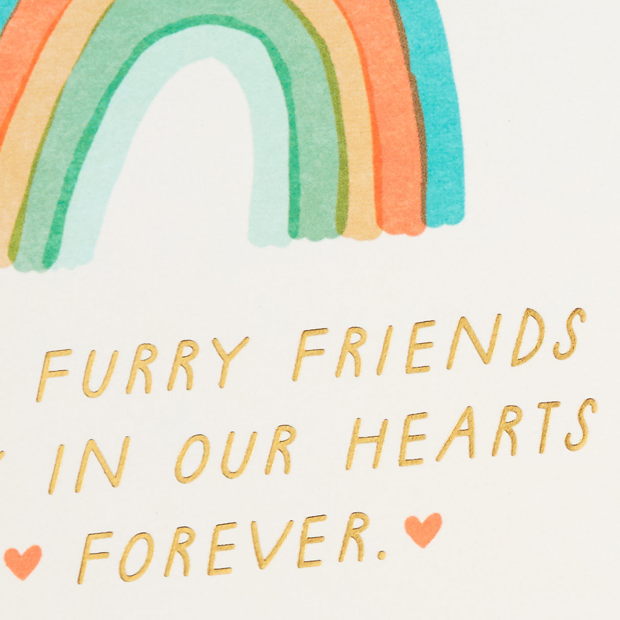 Pet Sympathy Cards Assortment, Hearts and Rainbows (16 Cards and Envelopes)