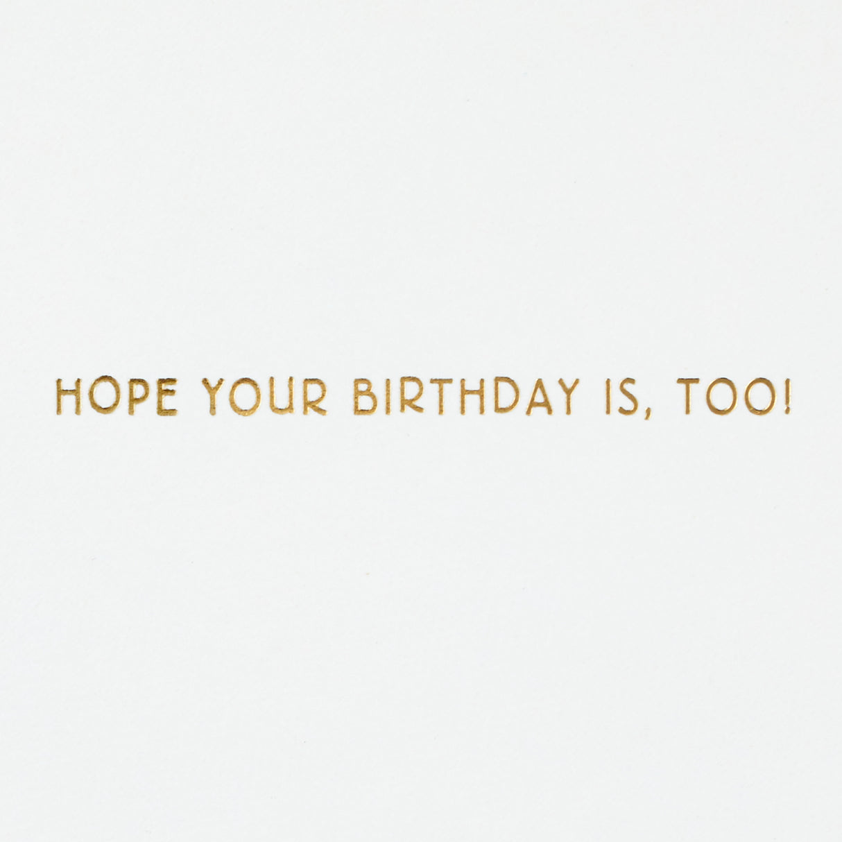 Hallmark Signature Birthday Card for Kids (Zebra, One of a Kind)