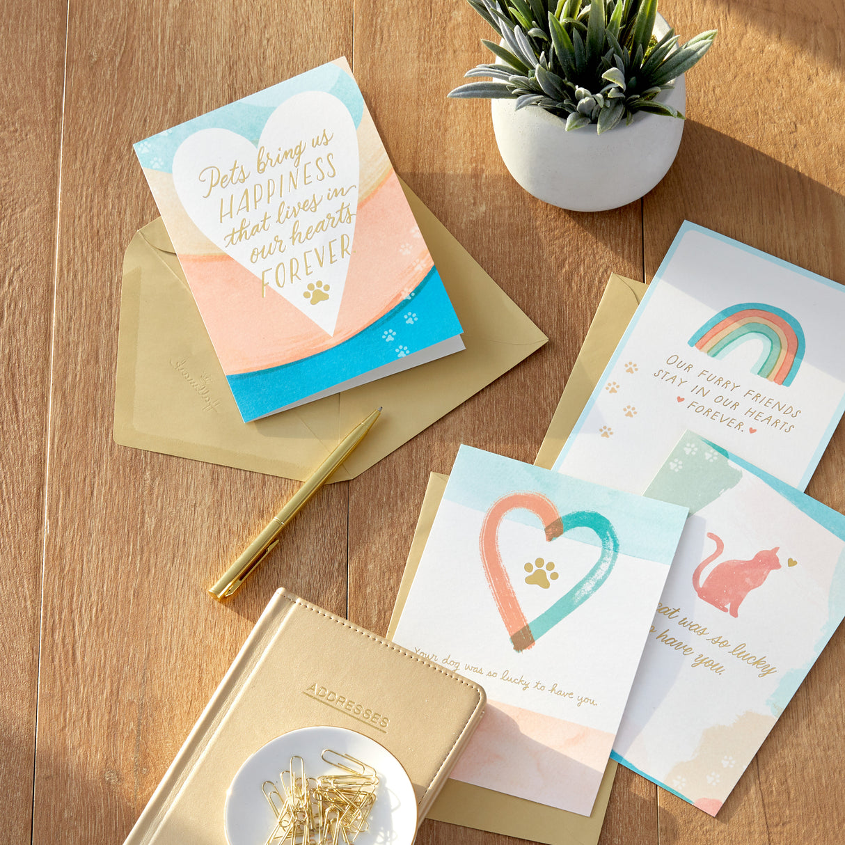 Pet Sympathy Cards Assortment, Hearts and Rainbows (16 Cards and Envelopes)