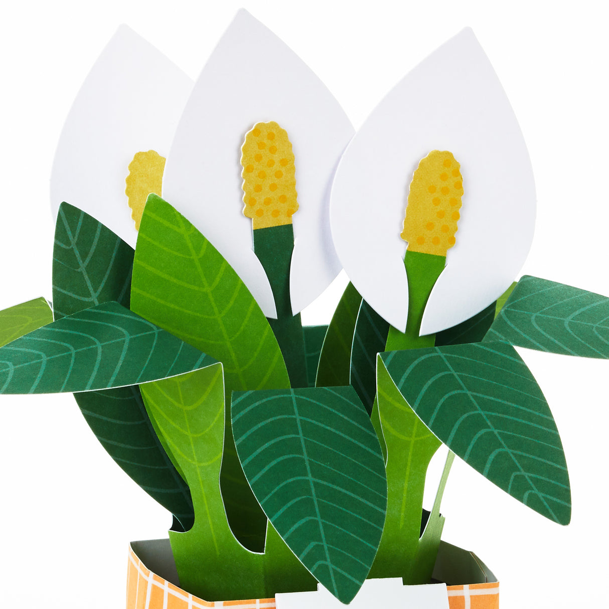 Paper Wonder Thinking of You, Encouragement Pop Up Card (Potted Peace Lily)