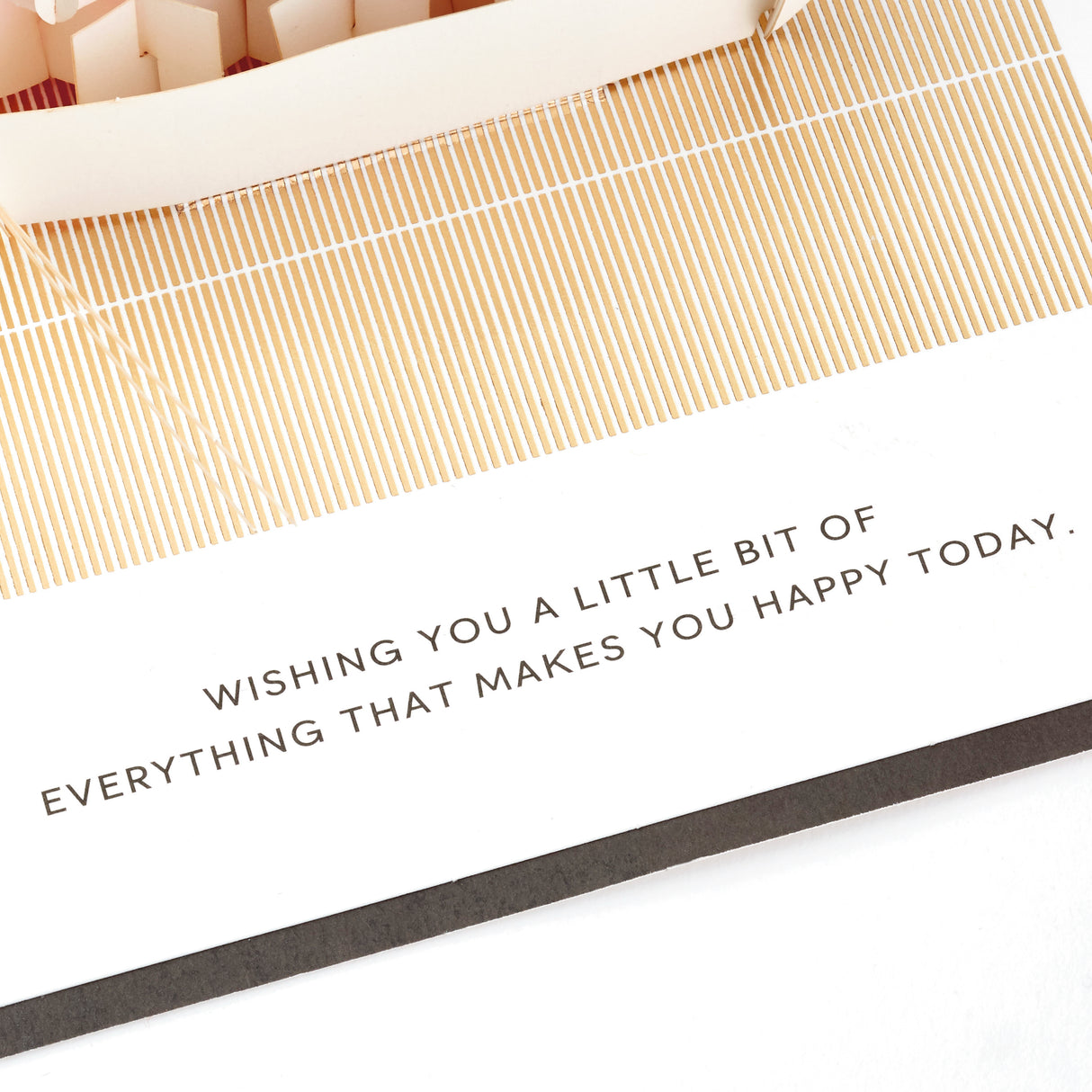 Signature Paper Wonder Pop Up Birthday Card (Sushi, Everything That Makes You Happy)