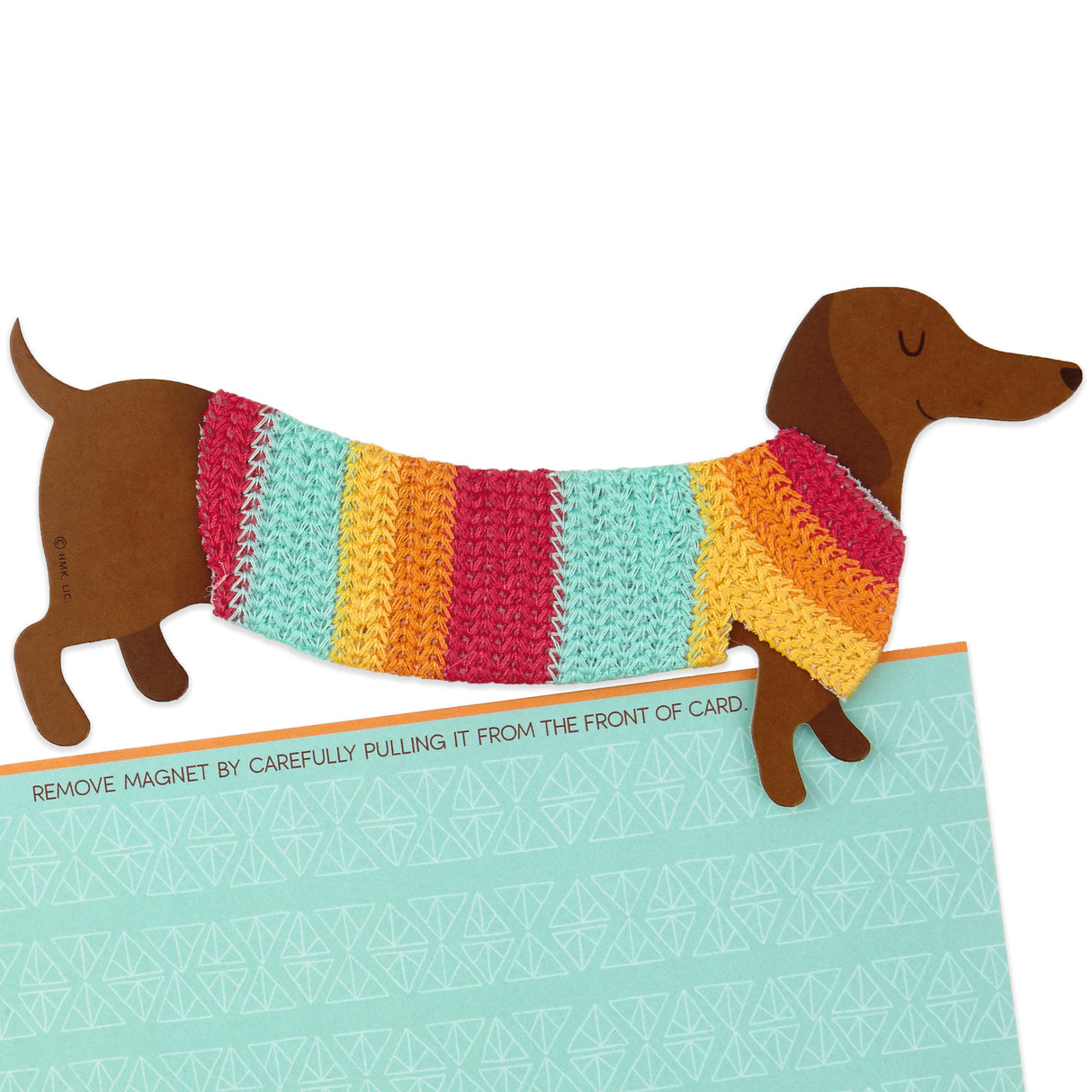 Signature Birthday Card with Removable Dachshund Magnet (Dog in Sweater)