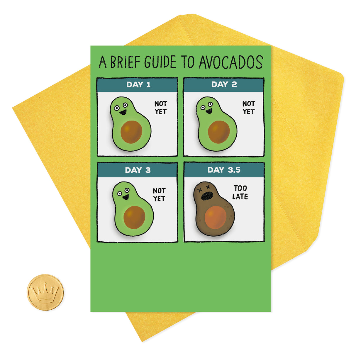 Shoebox Funny Birthday Card (Guide to Avocados)