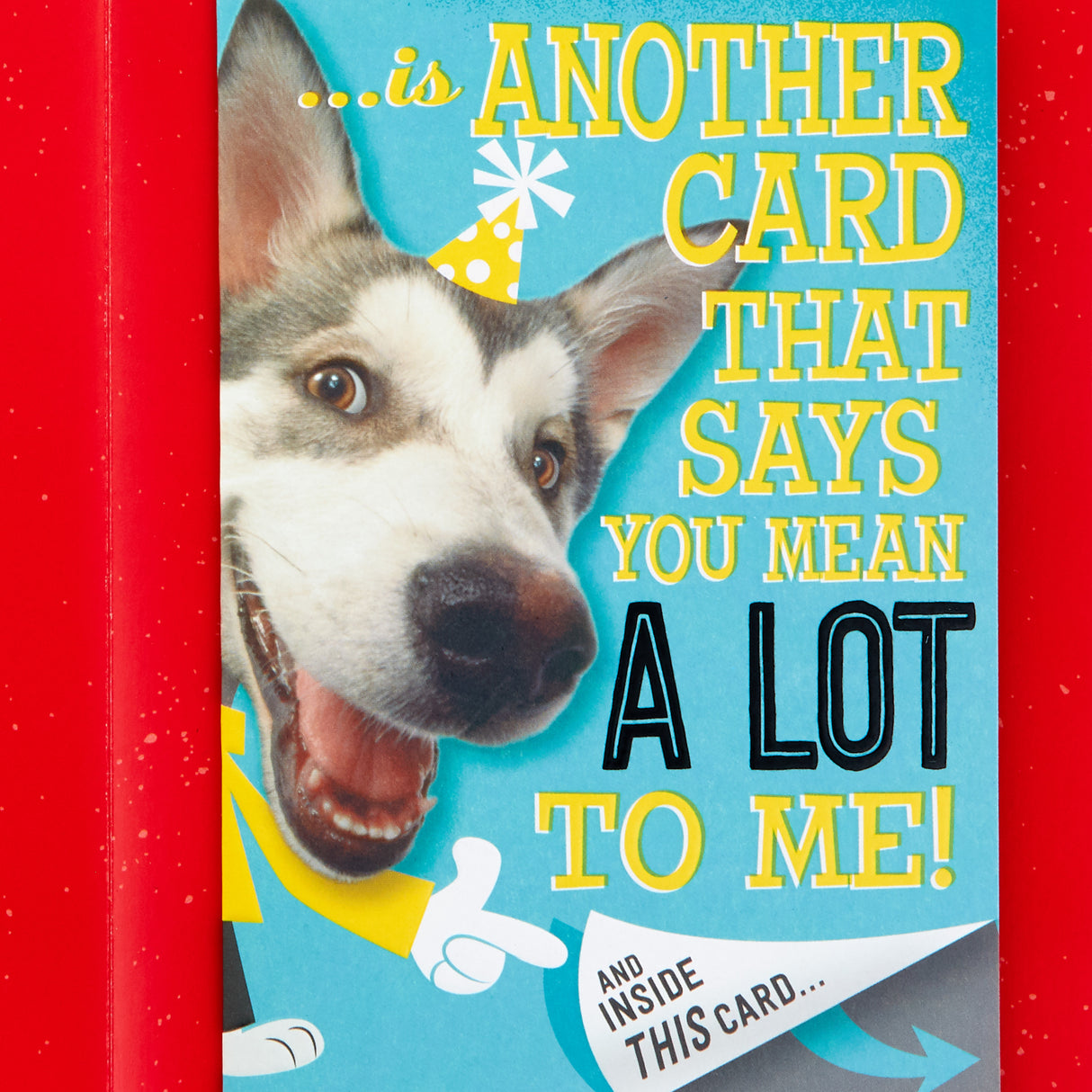 Birthday Card (Card Inside a Card)