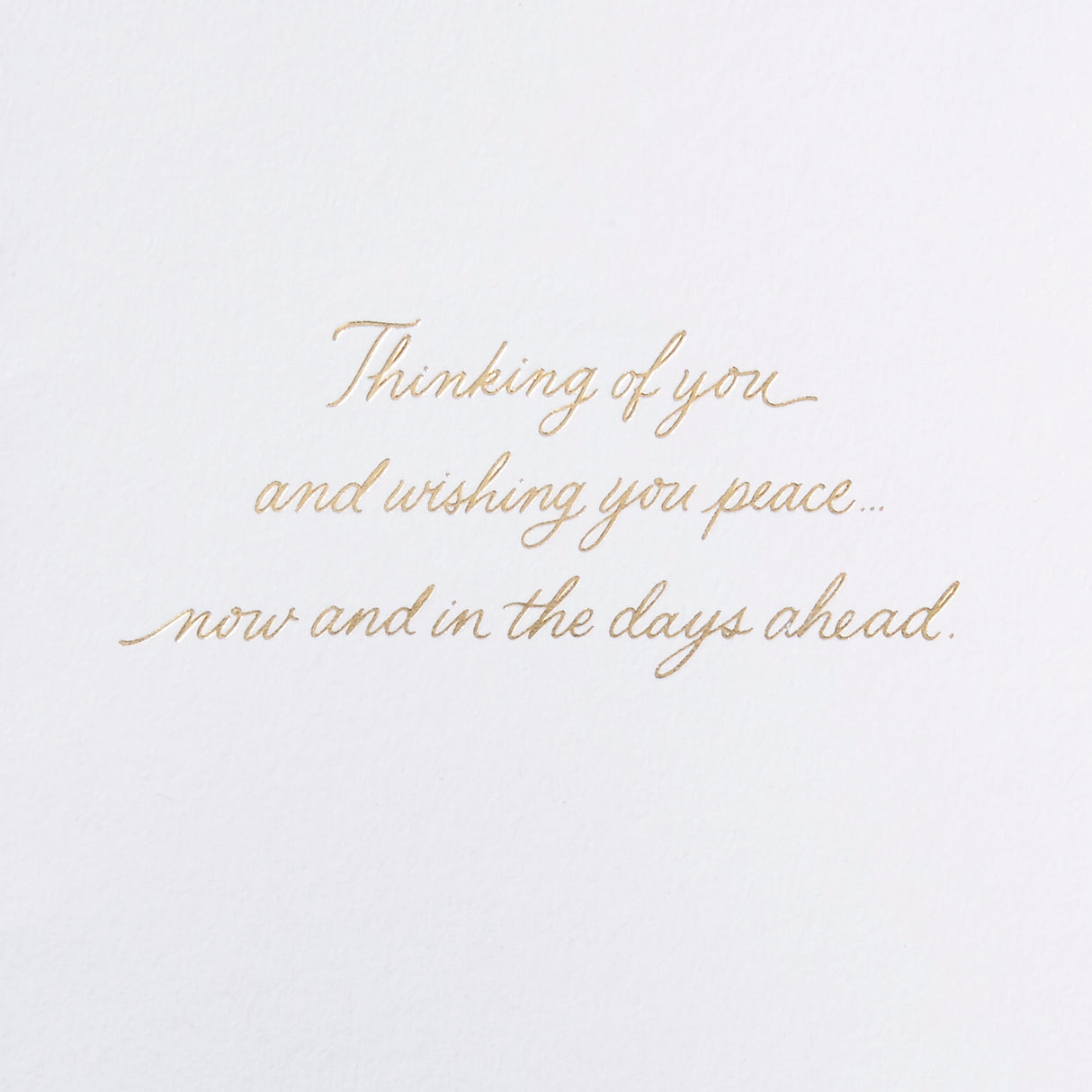 Signature Sympathy Card (Butterflies)