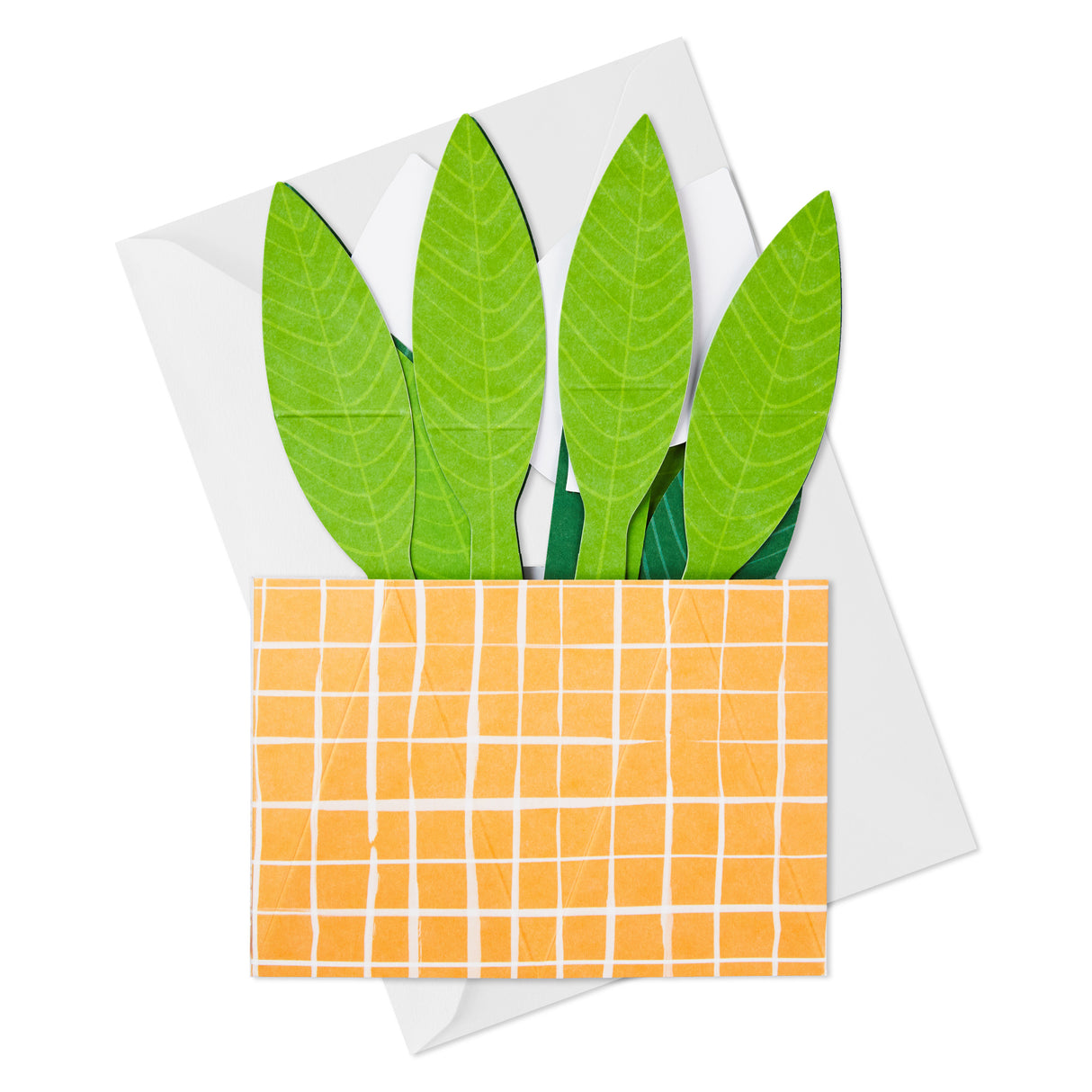 Paper Wonder Thinking of You, Encouragement Pop Up Card (Potted Peace Lily)