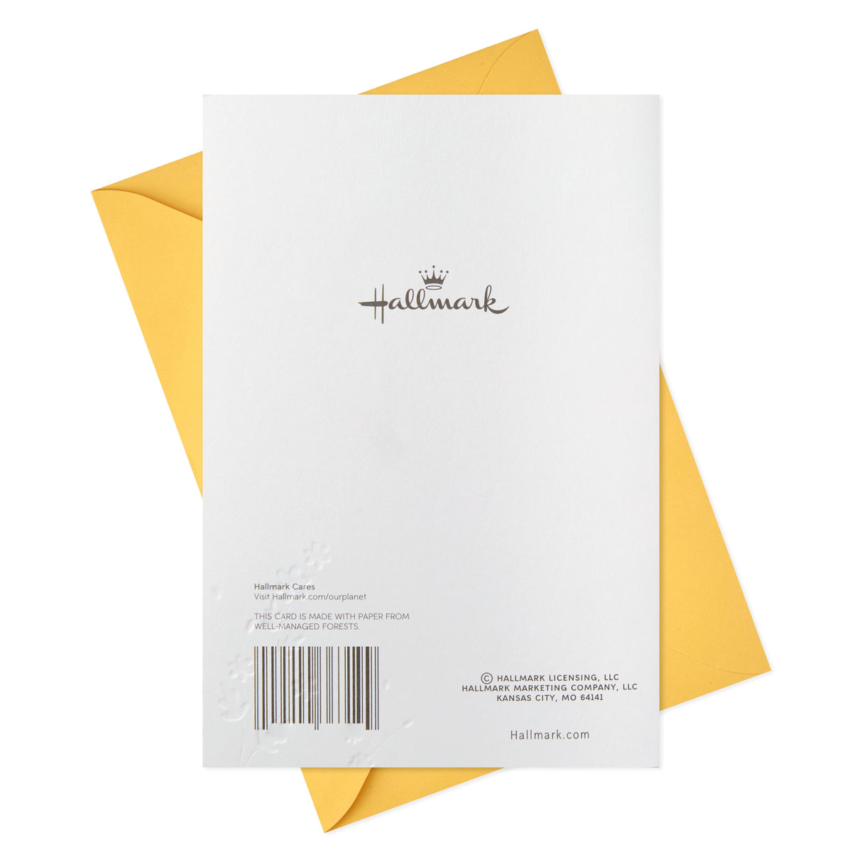 Baby Congratulations Greeting Card (Animals in the Woods)