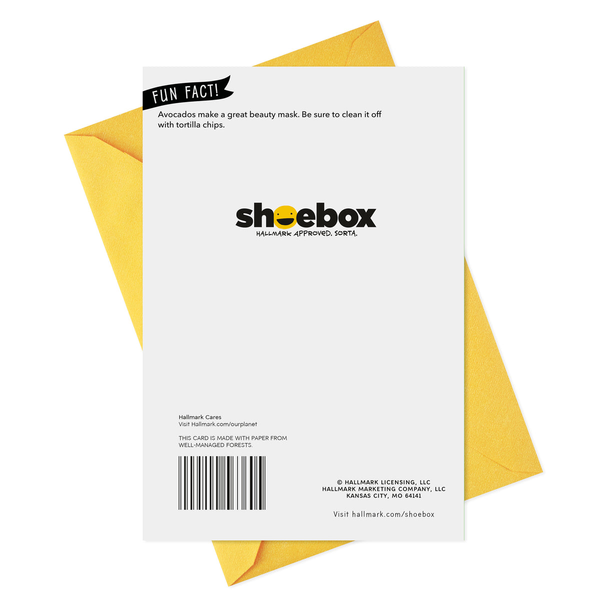 Shoebox Funny Birthday Card (Guide to Avocados)