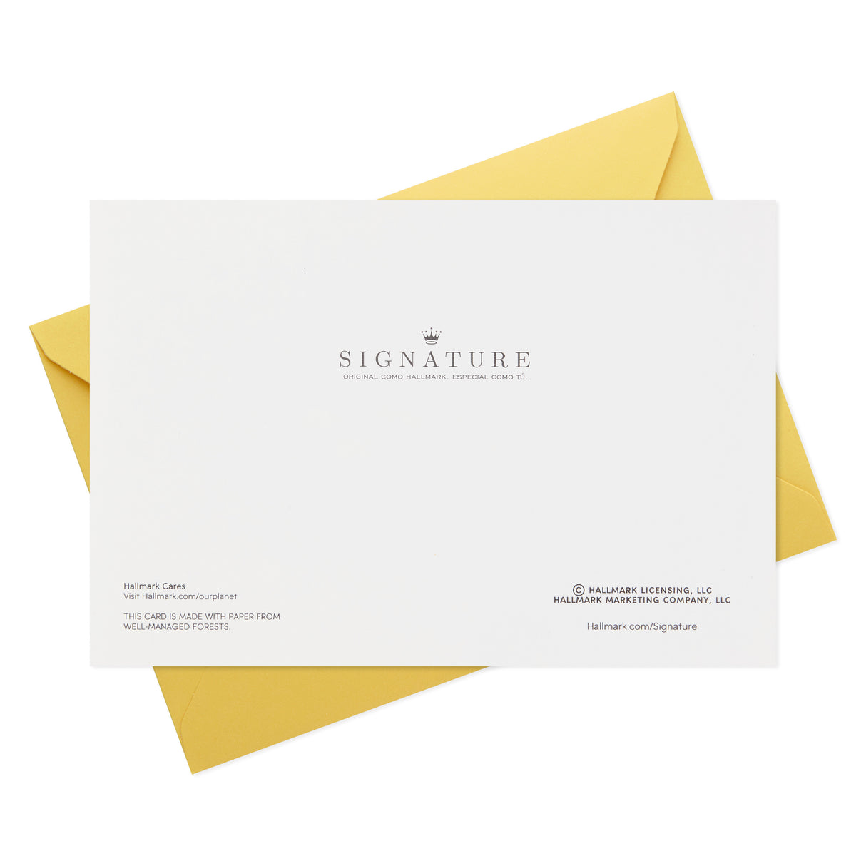 Signature Birthday Card (Mylar Balloons)