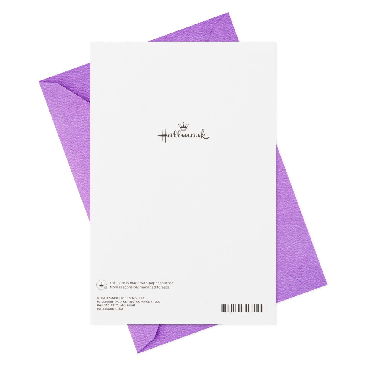 Anniversary Card (Turtles)