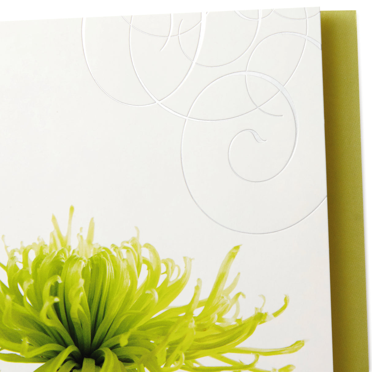 Assorted Sympathy Cards (Flowers, 12 Cards and Envelopes)