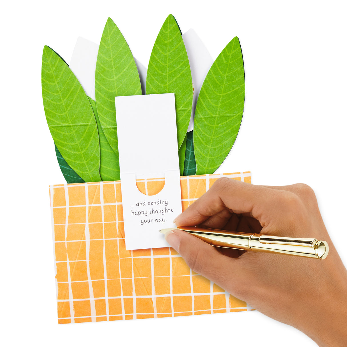 Paper Wonder Thinking of You, Encouragement Pop Up Card (Potted Peace Lily)