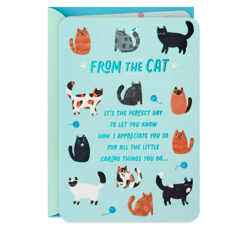 Hallmark Mother's Day Card from Cat (Glad I Adopted You)