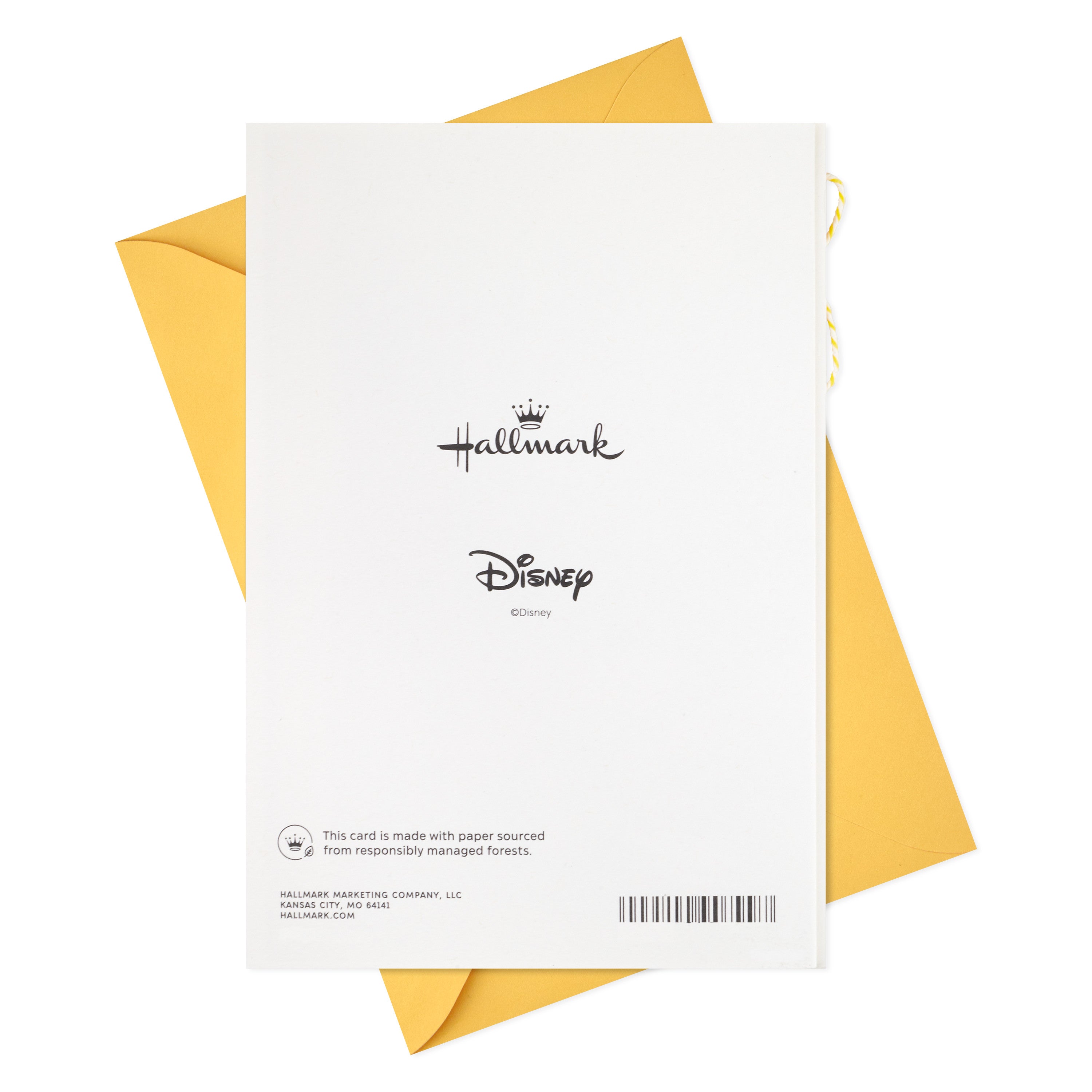 Hallmark Disney Baby Shower Card (Lion King, Baby Simba)