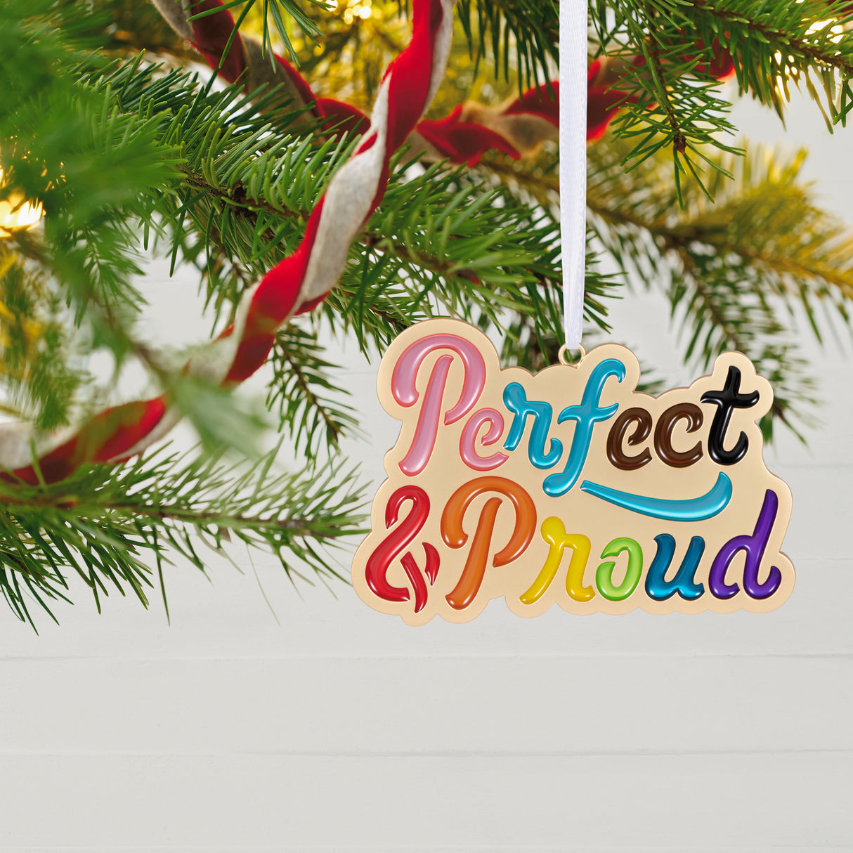 Keepsake Christmas Ornament 2024, Perfect & Proud, Metal