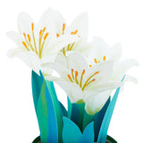 Easter Lily Plant in Vase 3D Pop-Up Easter Card