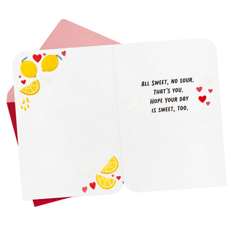 Hallmark Love Card, Romantic Birthday Card (Easy Peasy Lemon Squeezy)