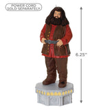Hallmark Keepsake Christmas Ornament (Harry Potter and the Chamber of Secrets Collection Hagrid With Light and Sound)