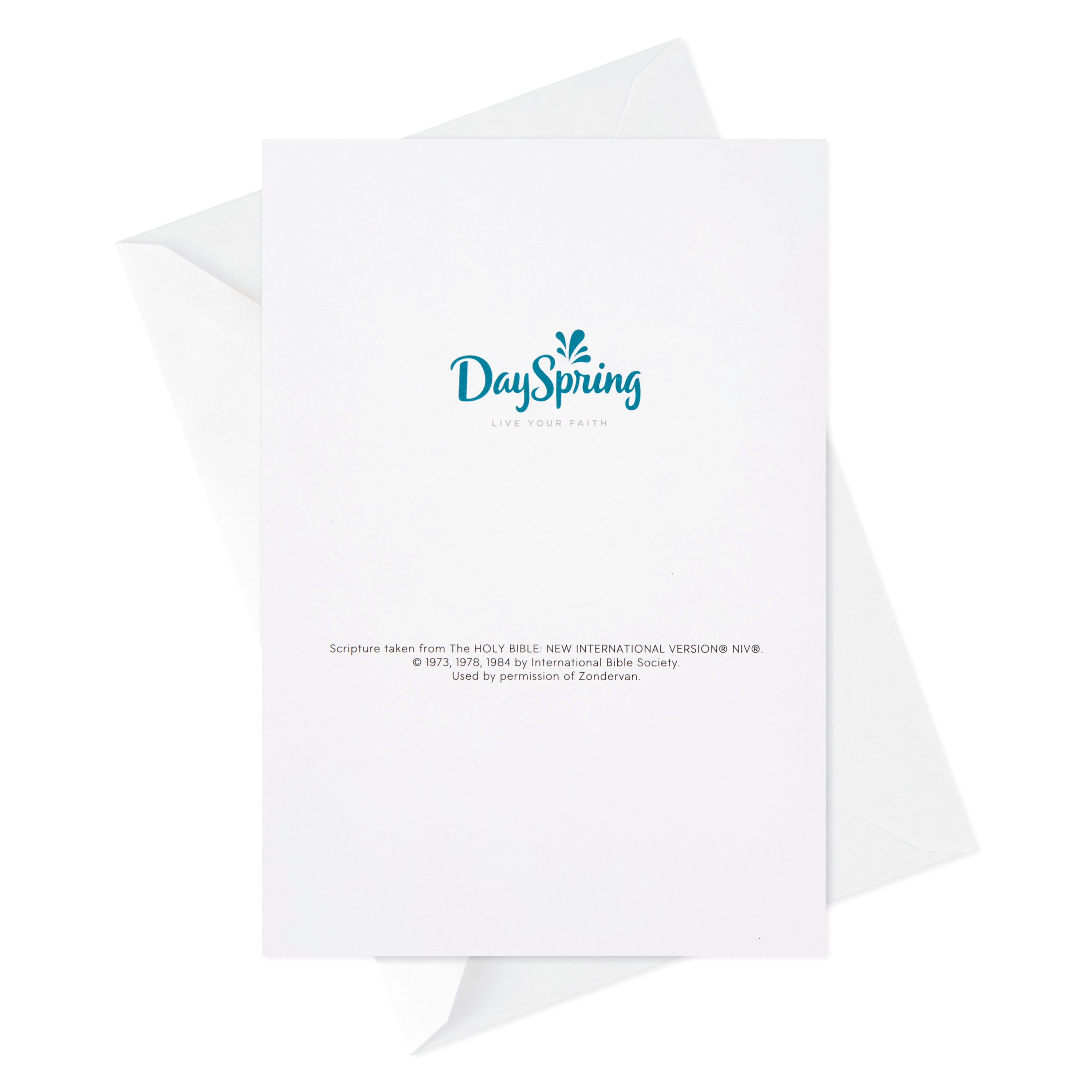 Dayspring Assorted Religious Birthday Cards (Christian Blessings, 12 Cards and Envelopes)
