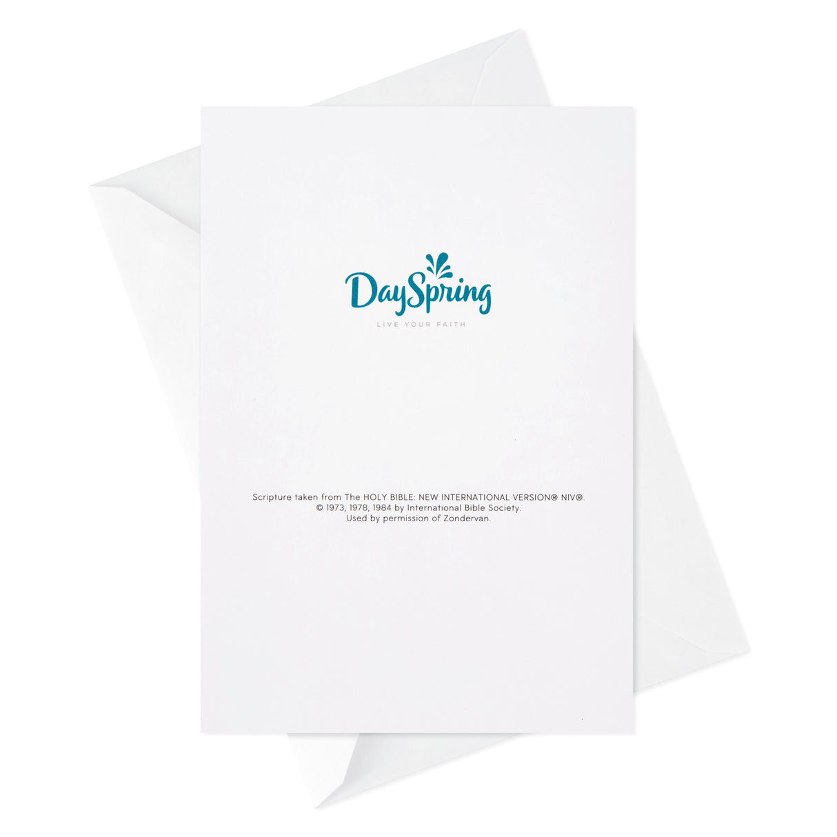 Dayspring Assorted Religious Birthday Cards (Christian Blessings, 12 Cards and Envelopes)