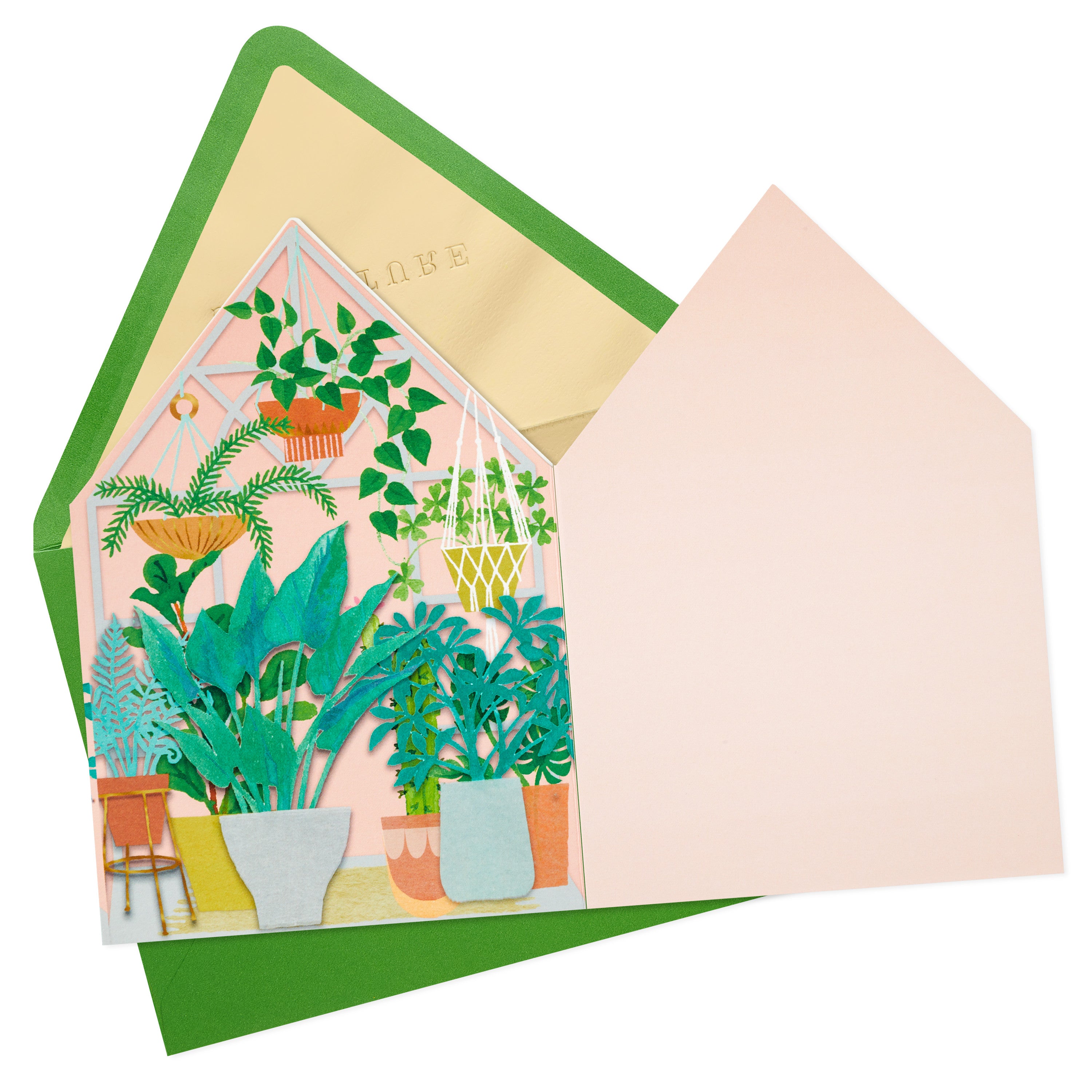 Hallmark Signature Blank Card (Greenhouse)