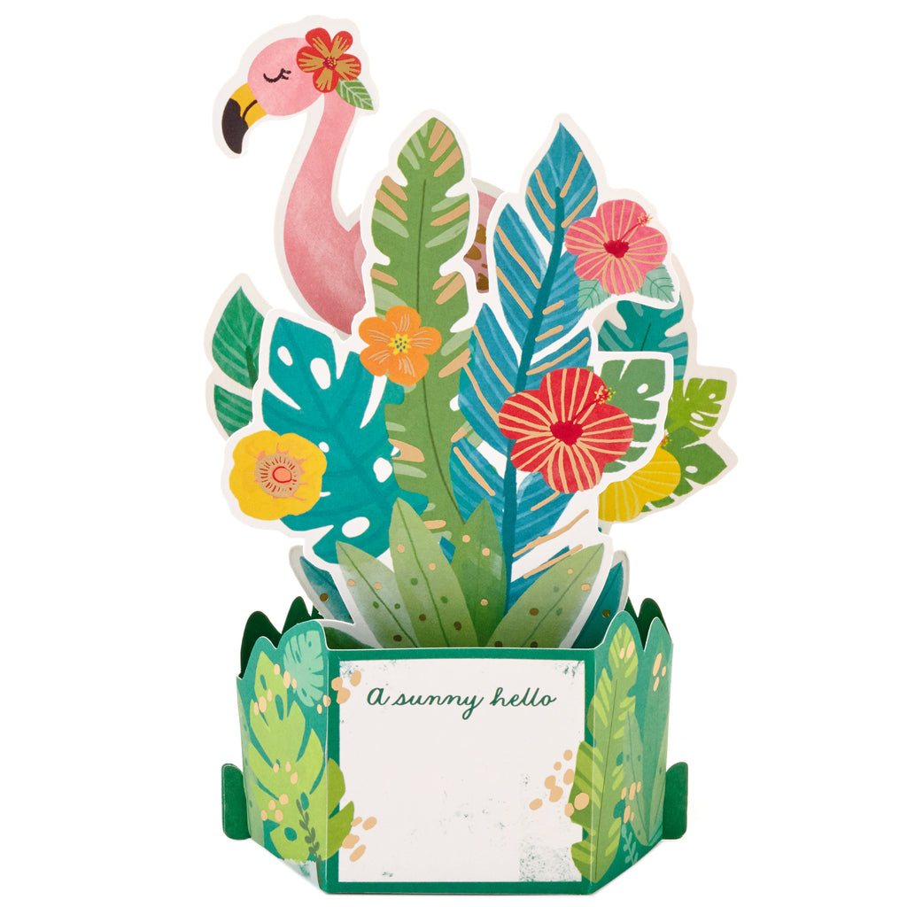Hallmark Paper Wonder Pop Up Birthday Card, Thank You Card, Encouragement Card, All Occasion Card (Flamingo)