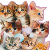 Hallmark Funny Valentines Day Card (Bouquet of Kittens)