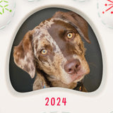 Keepsake Christmas Ornament 2024, Happy Dog 2024 Photo Frame, Porcelain, Pet Gifts