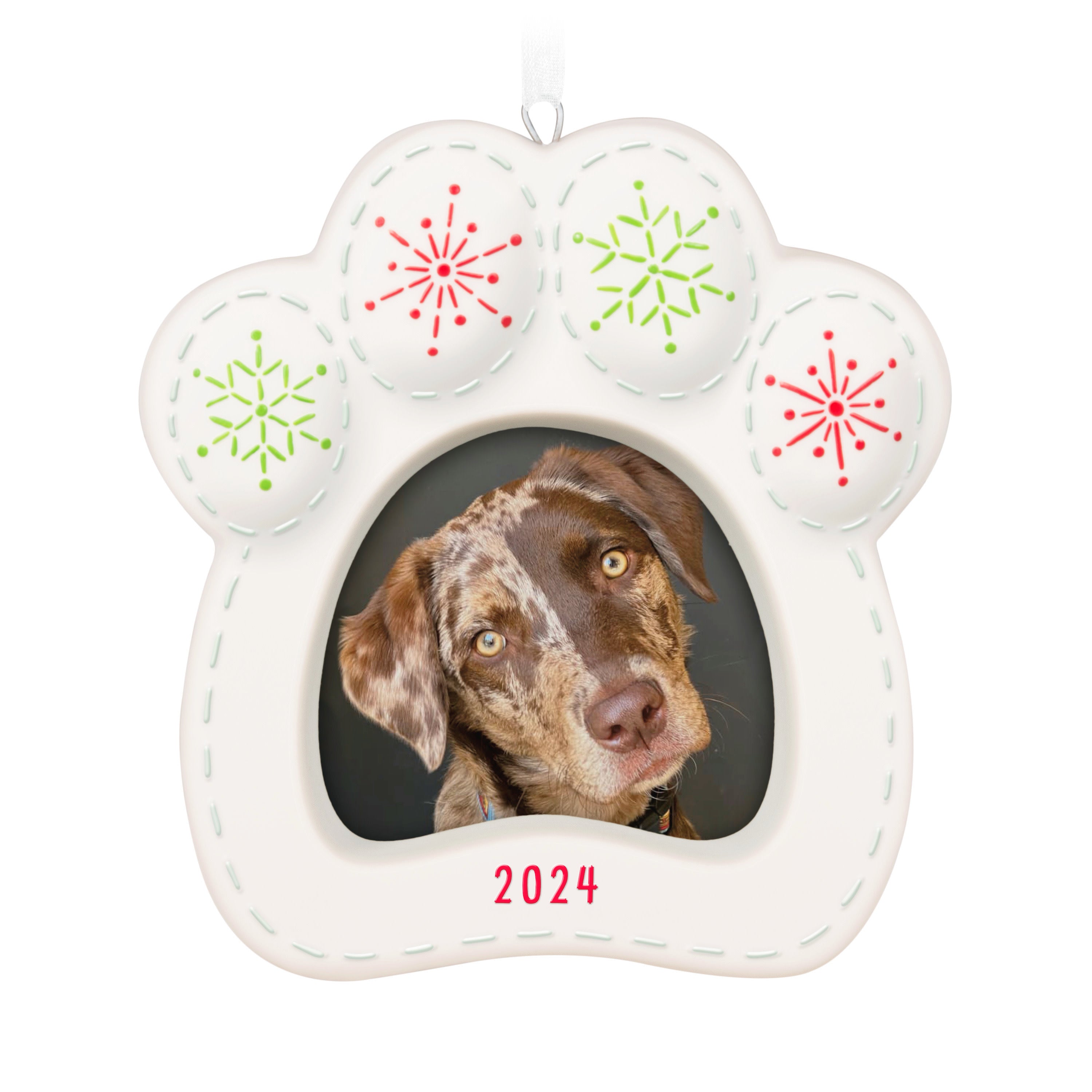 Dog photo christmas ornament best sale