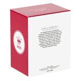 Hallmark Keepsake Christmas Ornament (Disney Darkwing Duck Let's Get Dangerous!)