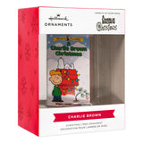 Hallmark Christmas Ornament (Peanuts A Charlie Brown Christmas Retro Video Cassette Case)