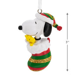 Hallmark Christmas Ornament (Peanuts Snoopy and Woodstock in Stocking)