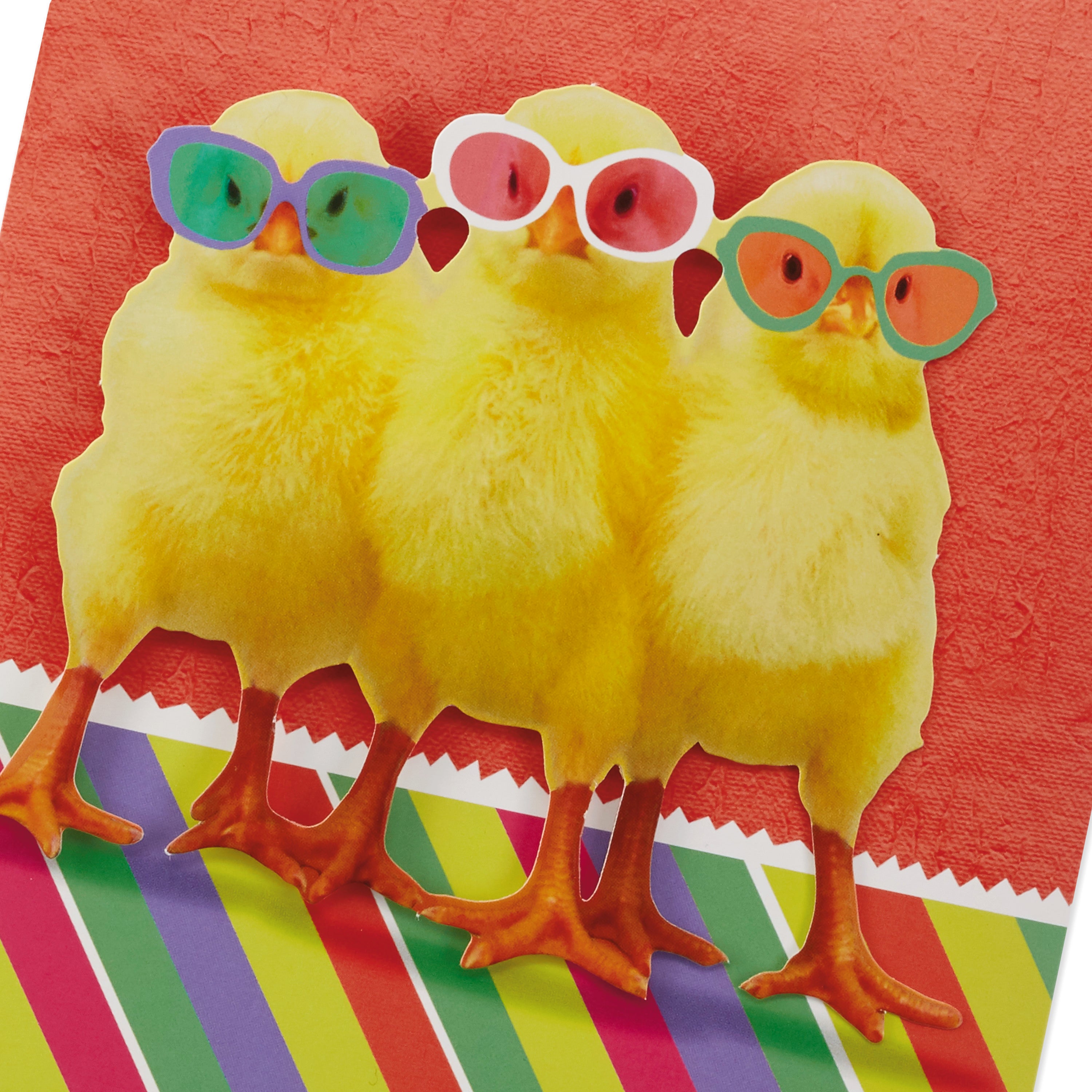 Hallmark Funny Musical Easter Card for Kids, Chicks in Sunglasses (Plays The Chicken Dance)