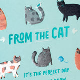 Hallmark Mother's Day Card from Cat (Glad I Adopted You)