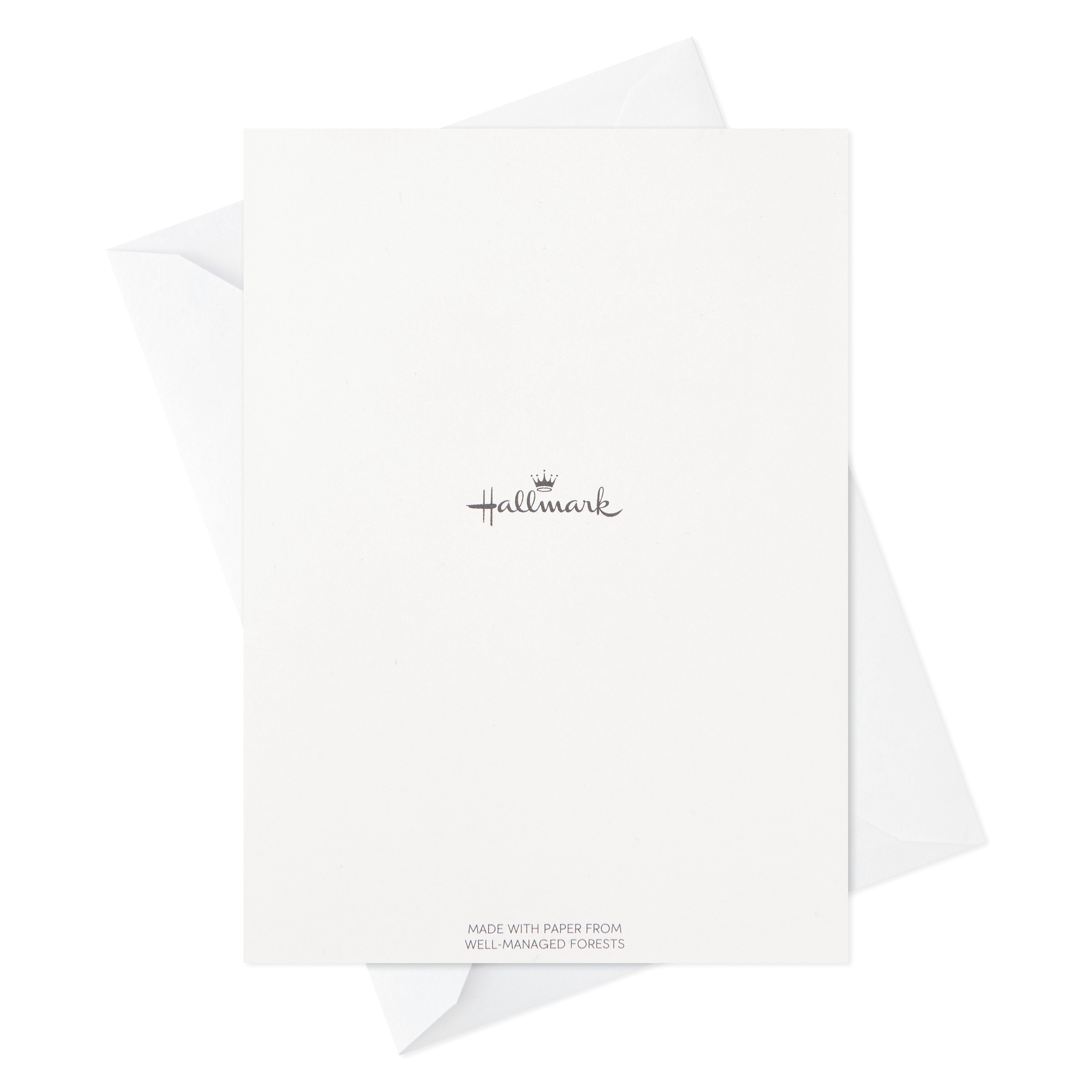 Blank Cards Assortment, Nature Prints (48 Cards with Envelopes)
