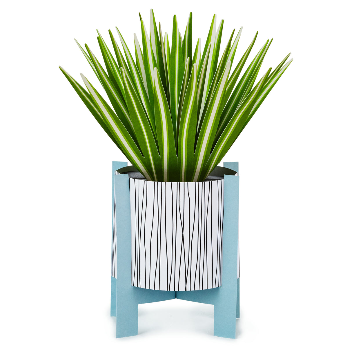 Paper Wonder All Occasion Pop Up Card (Potted Spider Plant)