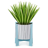 Paper Wonder All Occasion Pop Up Card (Potted Spider Plant)