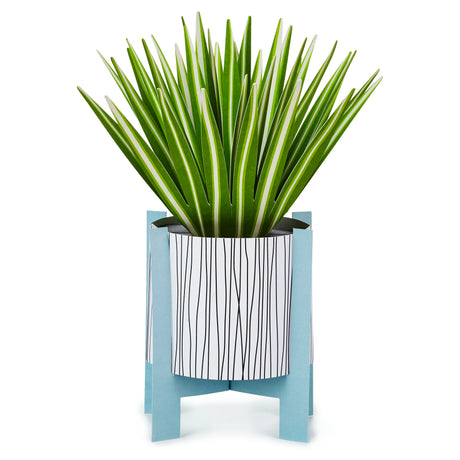 Paper Wonder All Occasion Pop Up Card (Potted Spider Plant)