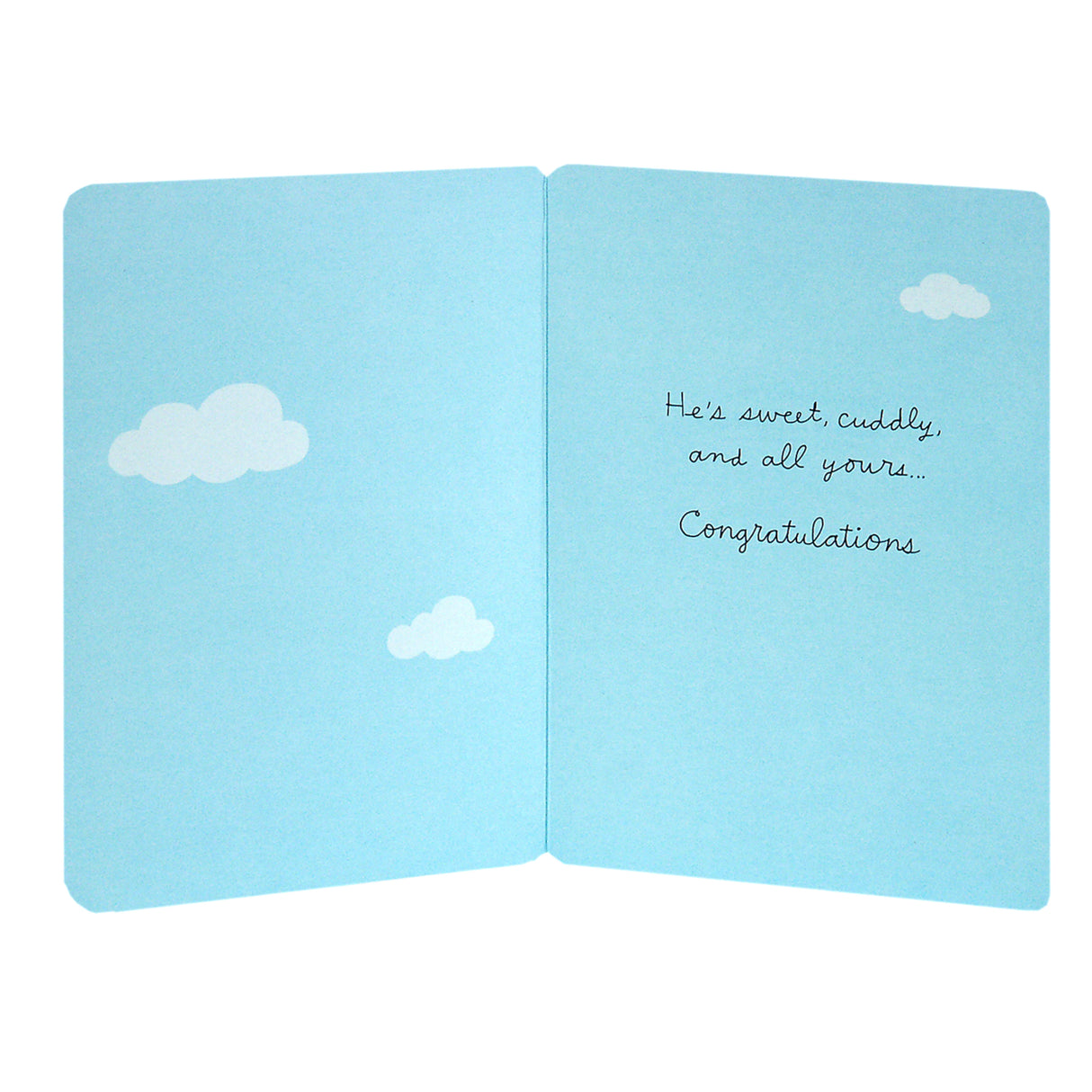 Signature Baby Shower Card for Baby Boy (Elephant with Balloon)