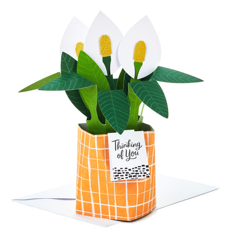  Paper Wonder Thinking of You, Encouragement Pop Up Card (Potted Peace Lily)