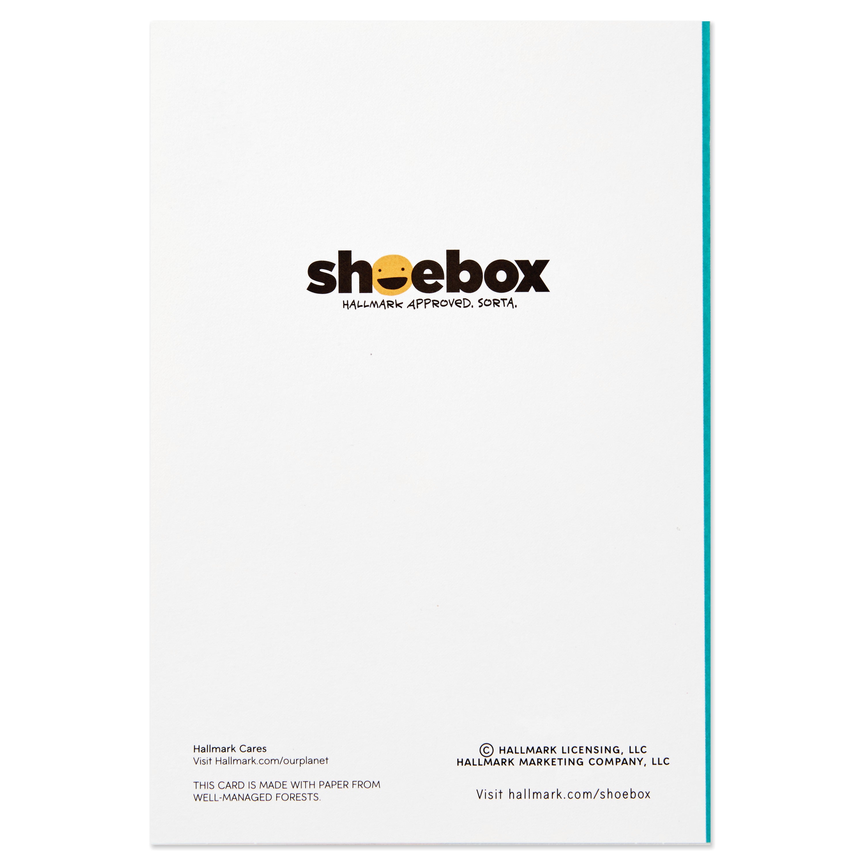 Shoebox Cancer Support Card Assortment (6 Cards with Envelopes)