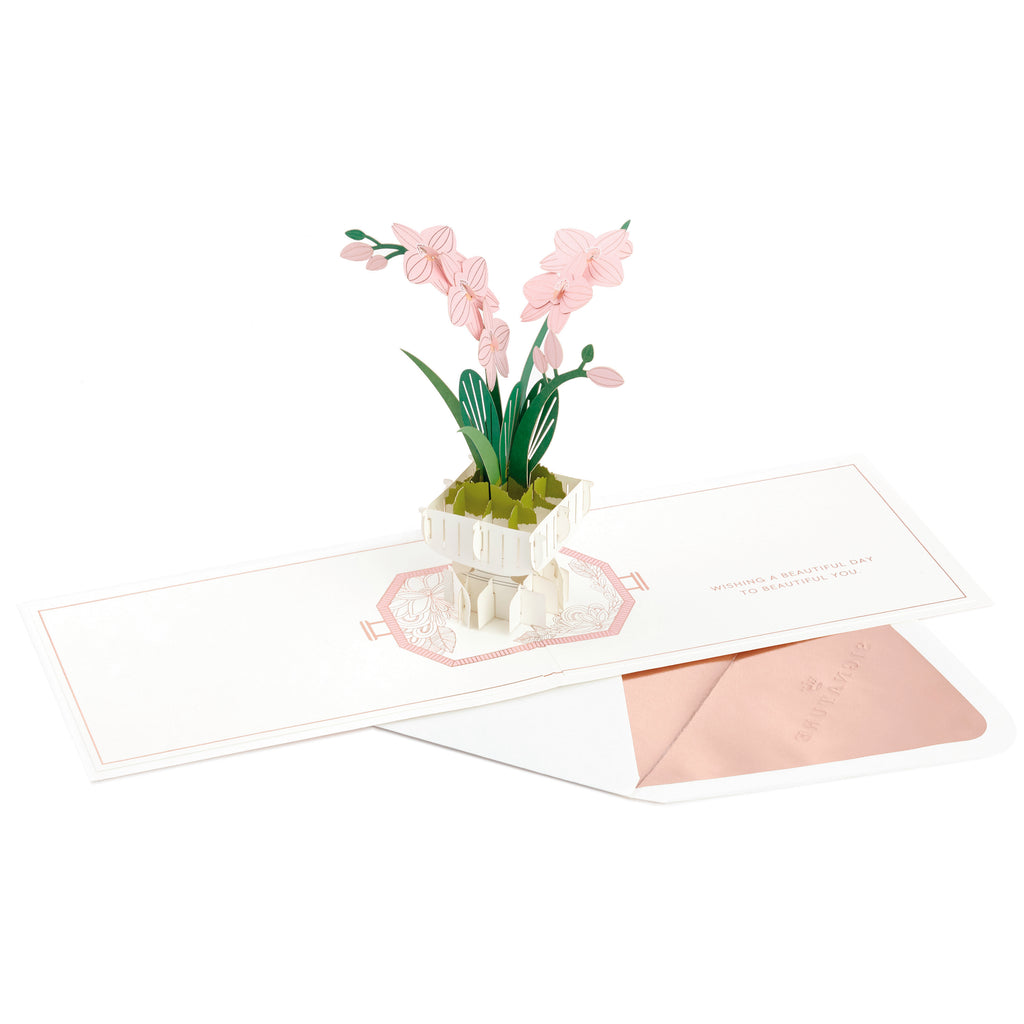 Signature Paper Wonder Pop Up Thinking of You Card, Encouragement Card, Get Well Soon Card for Her (Orchid)