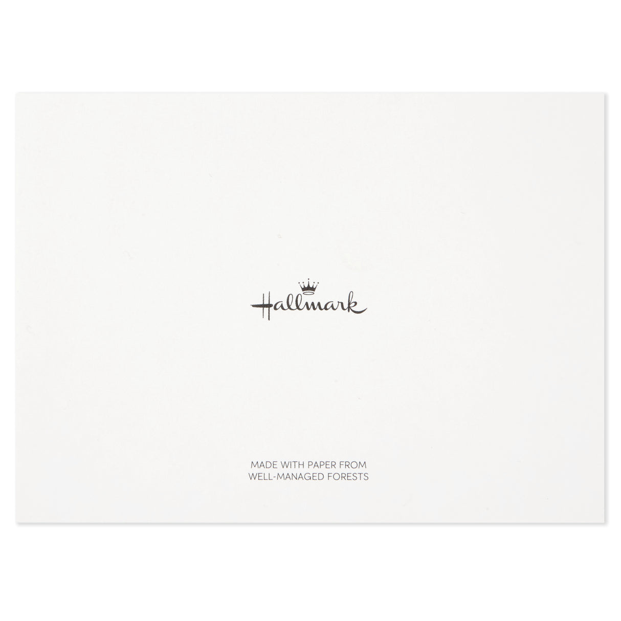 Blank Cards (Watercolor Designs, 40 Cards with Envelopes)