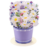 Paper Wonder Thinking of You, Birthday, Encouragement Pop Up Card (Displayable Daisy Bouquet)