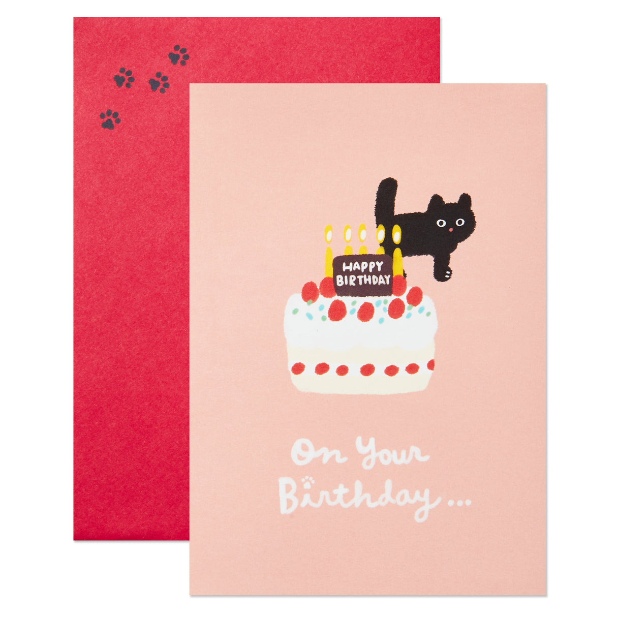 Pop Up Birthday Card (Cat and Friend with Birthday Cake)