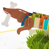 Signature Paper Wonder Pop Up Birthday Card (Dachshund, Happy All Day Long)